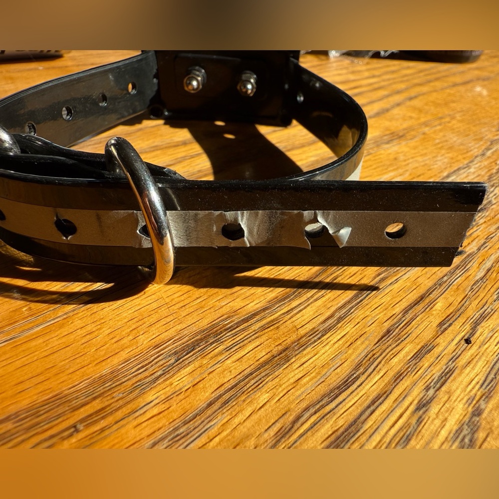 Wireless Pet Training System with Remote - Picture 7 of 9